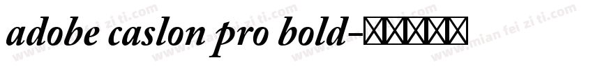 adobe caslon pro bold字体转换